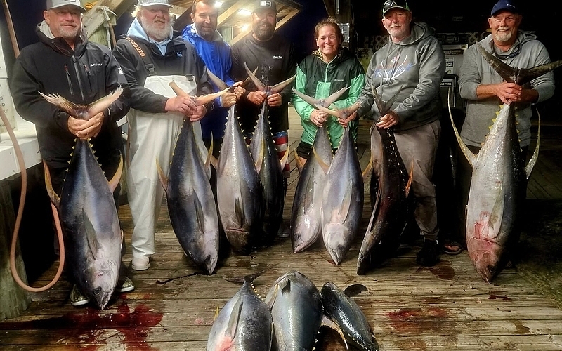 Is an Overnight Tuna Trip in Gulf Shores Right for You?