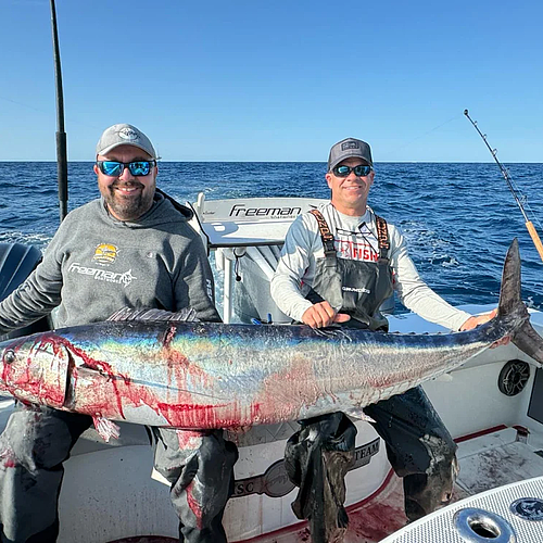 202512151454461_33011