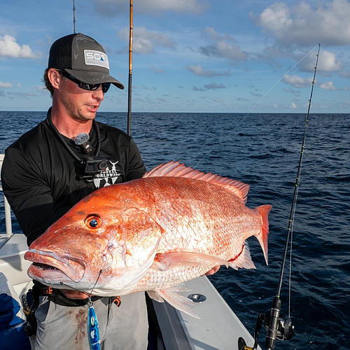 202512151454465_33475