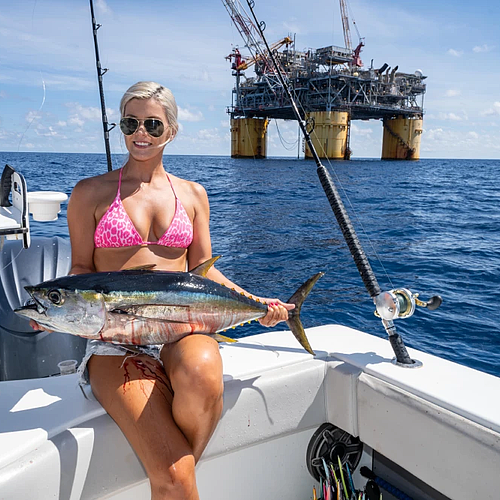 202512151454467_33473